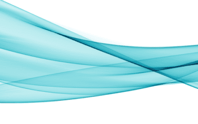 Why should you have a WordPress Website?