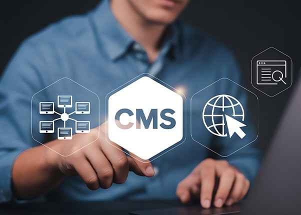 CMS Website Development Services